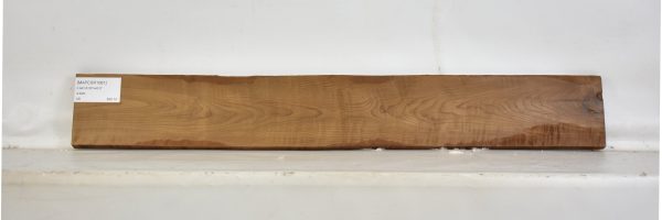 MAPCSR1081_2