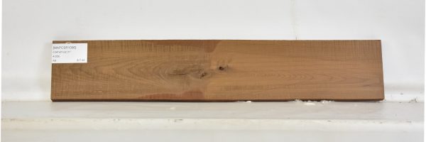 MAPCSR1096_2