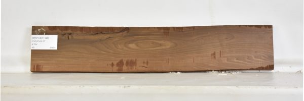 MAPCSR1098_2