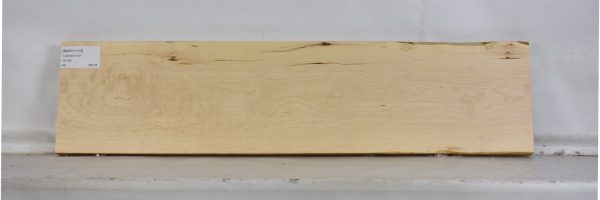 MAPH1113_2