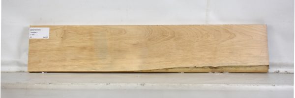 MAPH1117_2