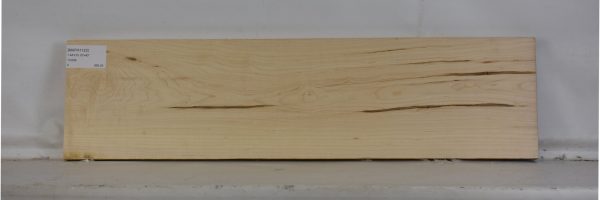 MAPH1123_1
