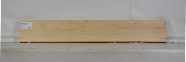 MAPH1126_2