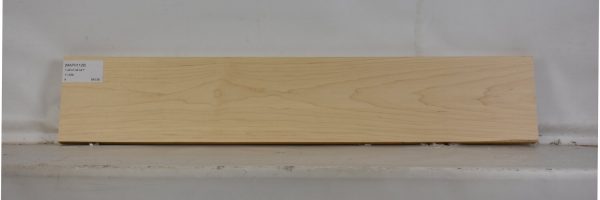 MAPH1128_2