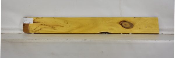 OSOR1081_2