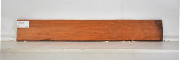 PADAUK1341_2
