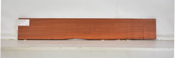 PADAUK1354_2