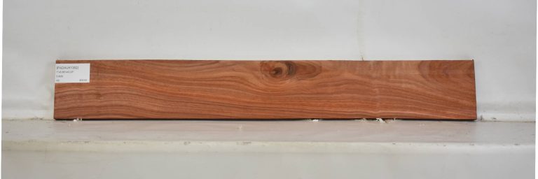 PADAUK1362_1