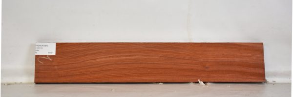 PADAUK1387_2