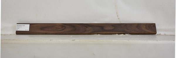 ROSEEI1122_1