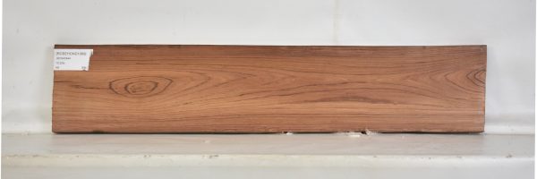 ROSEHOND1089_2