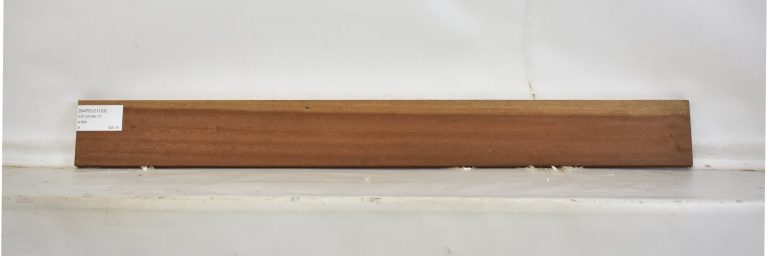 SAPELE1123_1