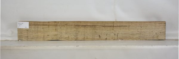 SHED1036_1