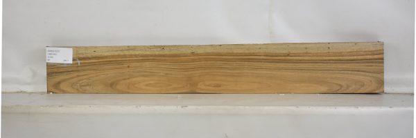 SHED1037_2