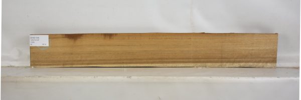 SHED1038_2