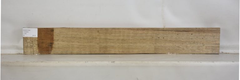 SHED1039_1