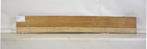SHED1044_2