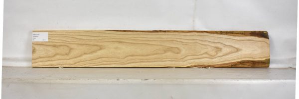 ASH1137_2