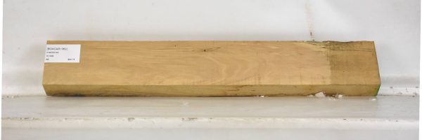 BOXCAS1062_1