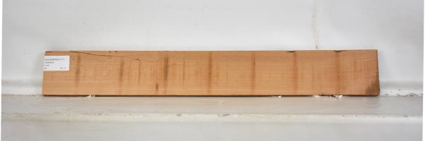 CEDARSPAN1117_1