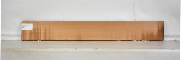 CEDARSPAN1118_1