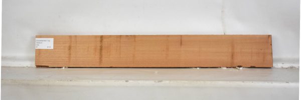 CEDARSPAN1118_2
