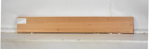 CEDARSPAN1119_2