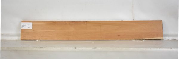 CEDARSPAN1120_1