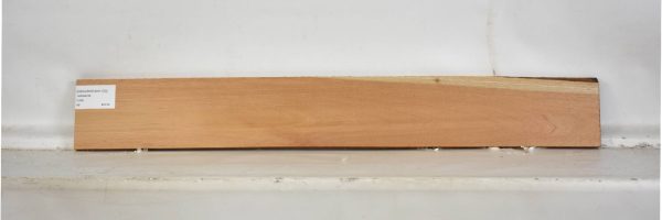 CEDARSPAN1120_2