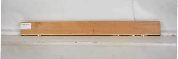 CEDARSPAN1123_1