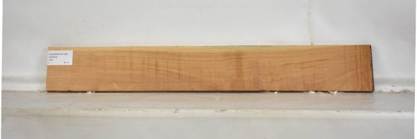 CEDARSPAN1128_1