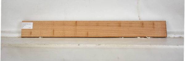 CEDARSPAN1131_2