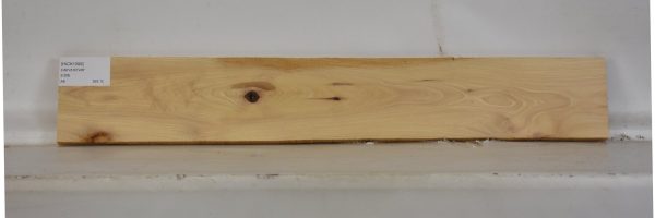 HICK1099_2