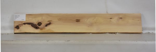 HICK1100_2
