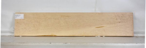 MAPBEH1381_1