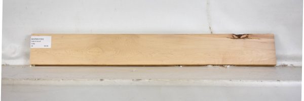 MAPBEH1393_1