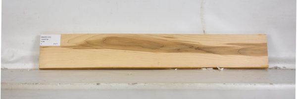 MAPH1131_1