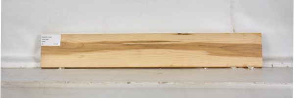 MAPH1133_1