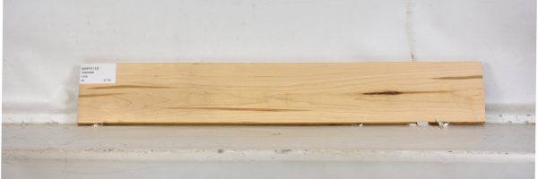 MAPH1133_2