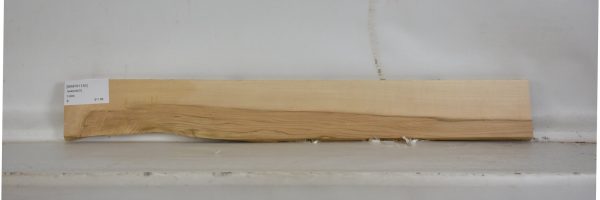 MAPH1135_2