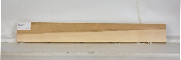 MAPH1137_1