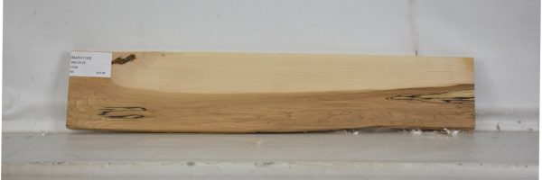 MAPH1143_1