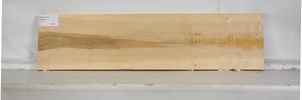MAPH1147_1