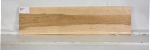 MAPH1147_2