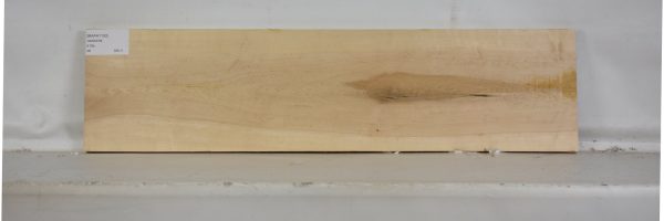 MAPH1150_1
