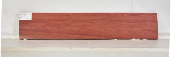 REDHT1289_1