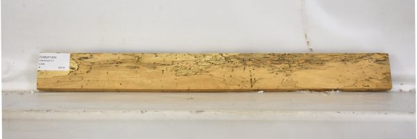 TAMSP1065_1