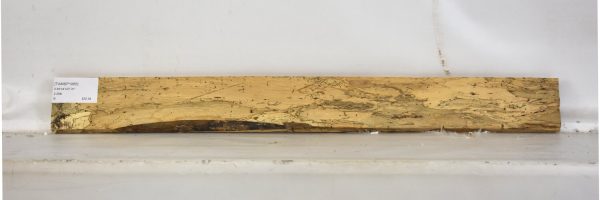 TAMSP1065_2