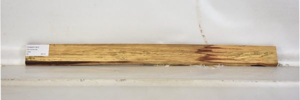 TAMSP1067_1