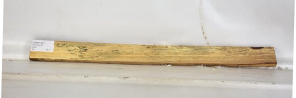 TAMSP1067_2